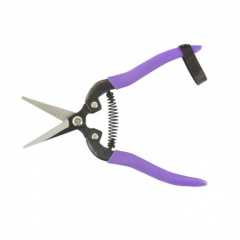 32387_ffae4d67204038d0fbcd1bdbae654072