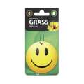 Ароматизатор Гибискус GRASS